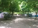 Camping-Prados-Abiertos-en-Gredos-zona-arbolada