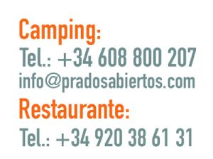 TEL-FIJO-hostal-copia-1